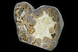 Beautiful, Crystal Filled Septarian Nodule - Utah #169529-2